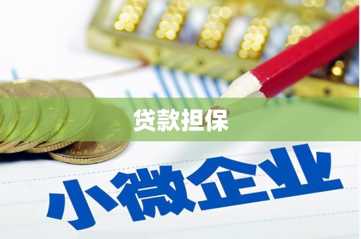 驻马店贷款担保