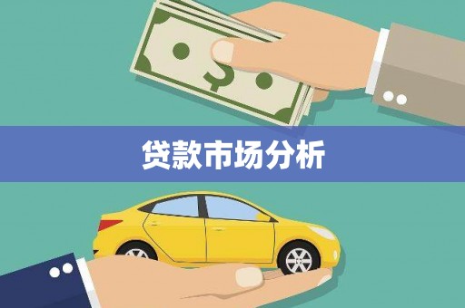疏勒贷款市场分析