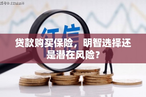 莱山贷款购买保险，明智选择还是潜在风险？