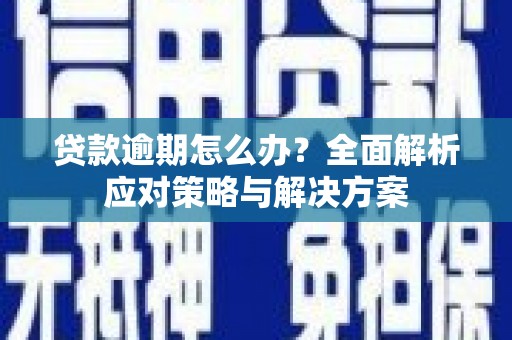 龙湾贷款逾期怎么办？全面解析应对策略与解决方案