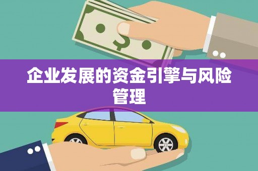 玄武企业发展的资金引擎与风险管理
