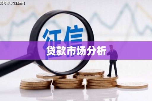 海安贷款市场分析