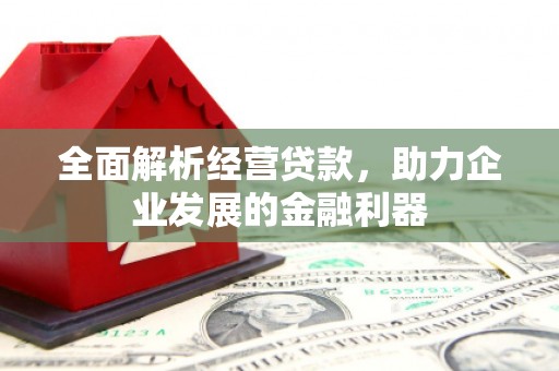 蕉城全面解析经营贷款，助力企业发展的金融利器
