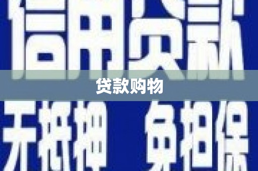 乐东贷款购物