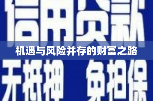 沈河机遇与风险并存的财富之路