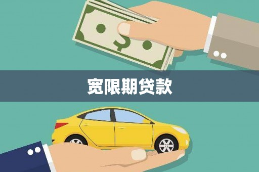 田林宽限期贷款