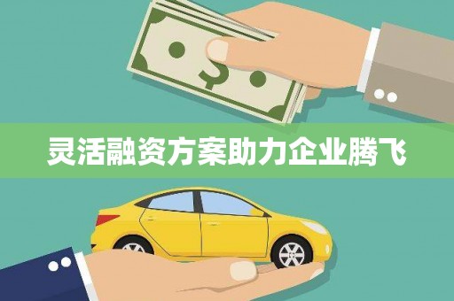 德庆灵活融资方案助力企业腾飞