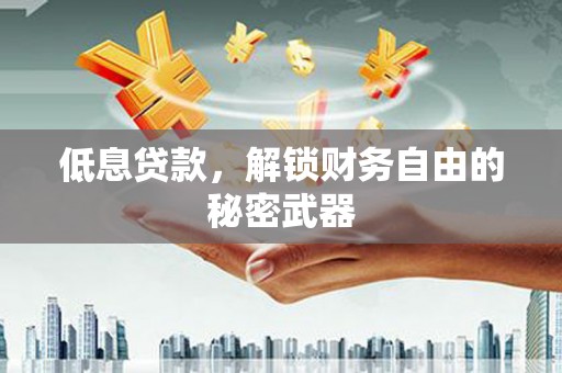 公安低息贷款，解锁财务自由的秘密武器
