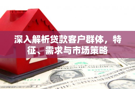 苑里深入解析贷款客户群体，特征、需求与市场策略