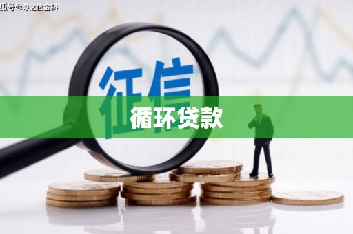 宣汉循环贷款