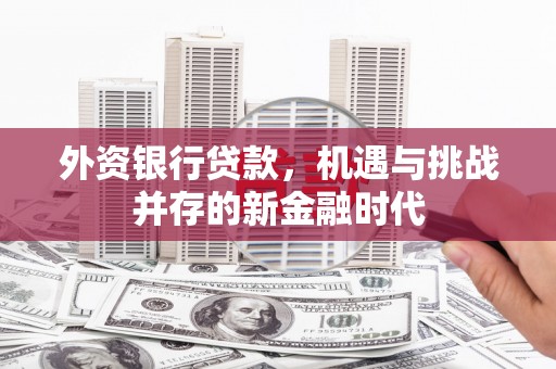 温岭外资银行贷款，机遇与挑战并存的新金融时代