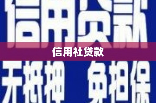 利辛信用社贷款