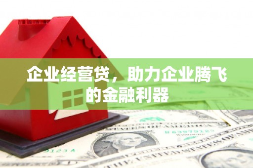 龙游企业经营贷，助力企业腾飞的金融利器