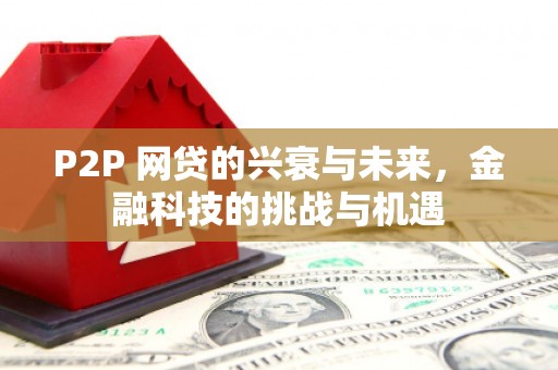 久治P2P 网贷的兴衰与未来，金融科技的挑战与机遇