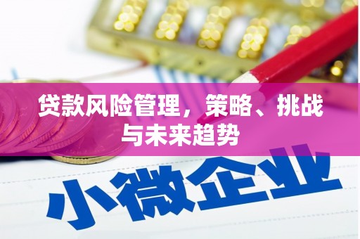 嘉祥贷款风险管理，策略、挑战与未来趋势