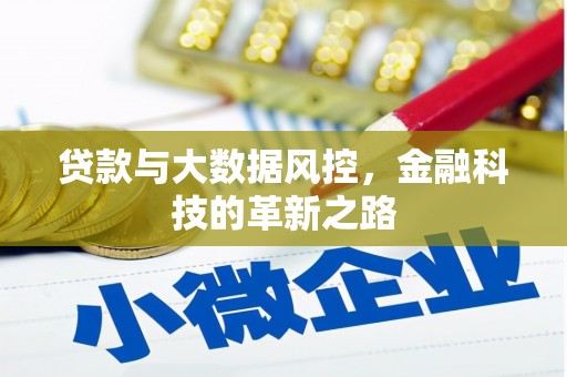 丰宁贷款与大数据风控，金融科技的革新之路