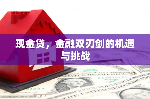 东宝现金贷，金融双刃剑的机遇与挑战