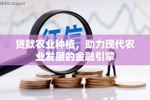 坡头贷款农业种植，助力现代农业发展的金融引擎