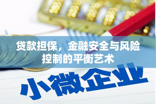 灌阳贷款担保，金融安全与风险控制的平衡艺术