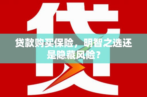 班玛贷款购买保险，明智之选还是隐藏风险？