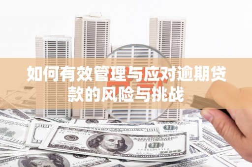 荥阳如何有效管理与应对逾期贷款的风险与挑战
