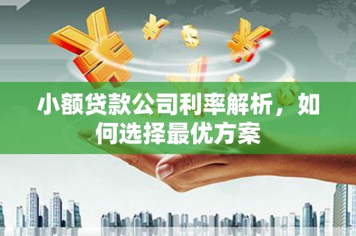 弋阳小额贷款公司利率解析，如何选择最优方案
