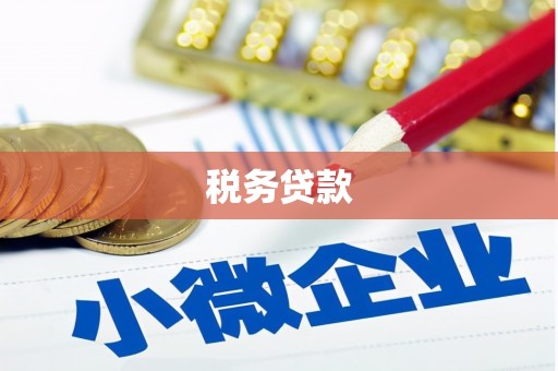 班戈税务贷款