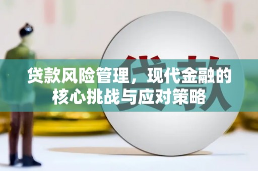 宣威贷款风险管理，现代金融的核心挑战与应对策略