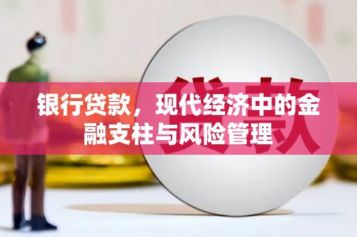 青阳银行贷款，现代经济中的金融支柱与风险管理