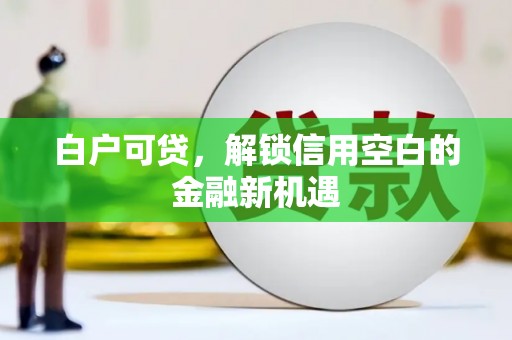 怀来白户可贷，解锁信用空白的金融新机遇