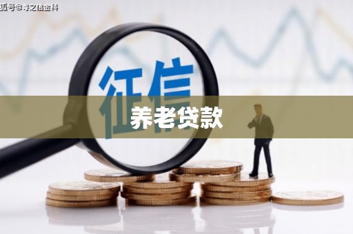 保定养老贷款