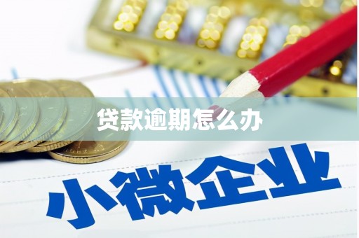 虞城贷款逾期怎么办