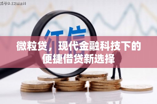 晋州微粒贷，现代金融科技下的便捷借贷新选择