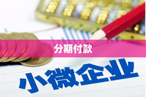 康保分期付款