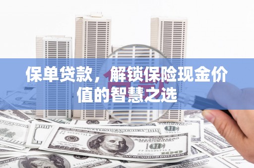 项城保单贷款，解锁保险现金价值的智慧之选