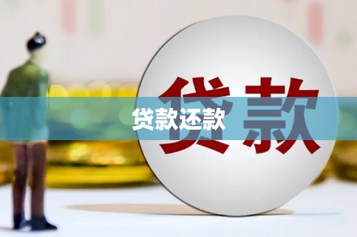 秦汉贷款还款