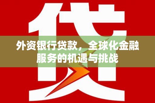 墨江外资银行贷款，全球化金融服务的机遇与挑战