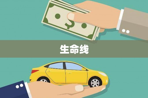 沙坡头生命线