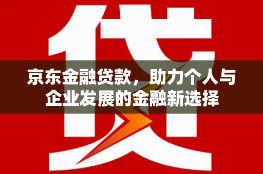 施甸京东金融贷款，助力个人与企业发展的金融新选择