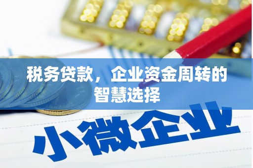 札达税务贷款，企业资金周转的智慧选择
