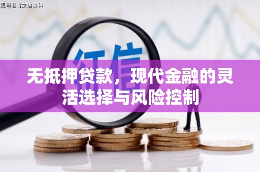 浦江无抵押贷款，现代金融的灵活选择与风险控制