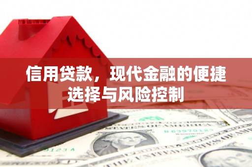 邓州信用贷款，现代金融的便捷选择与风险控制