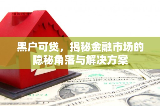 平江黑户可贷，揭秘金融市场的隐秘角落与解决方案