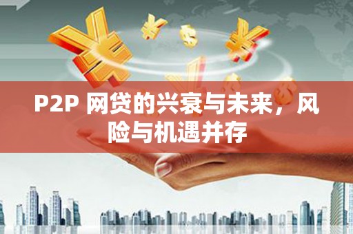 巍山P2P 网贷的兴衰与未来，风险与机遇并存