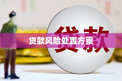梁平贷款风险处置方案