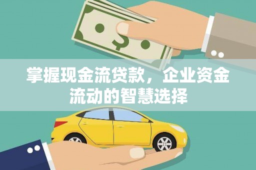 龙凤掌握现金流贷款，企业资金流动的智慧选择
