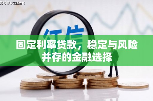 洛宁固定利率贷款，稳定与风险并存的金融选择