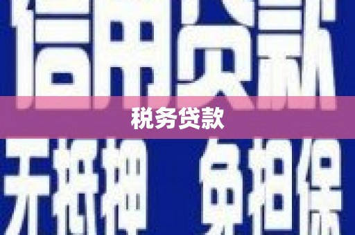 连云税务贷款