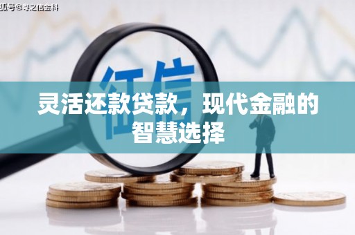 南涧灵活还款贷款，现代金融的智慧选择