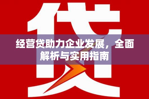 澧县经营贷助力企业发展，全面解析与实用指南